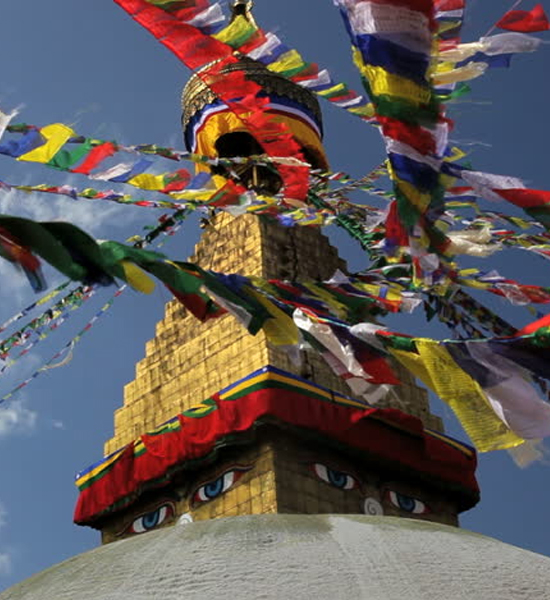 International Relation